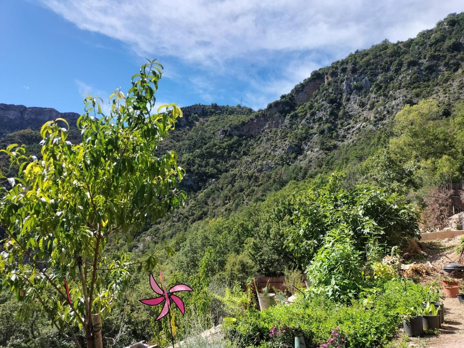 Bed and Breakfast La Gruppio Ilonse Esterno foto
